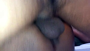 شباب بنغالي في حفلة رباعية منزلية جامدة