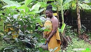 내 이웃이 나를 유혹해서 야생 박기 전에 정원 채소 공유해