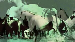 dark lantern entertainment presents a vintage showcase