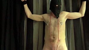 Hey, tjek denne østrigske amatør femdom med brutal røvknulning smerte