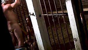 Super gammel bestefar får pervers stall blowjob