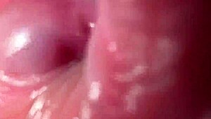 アナル指入れの接写！淫語連発でオナニーが野獣級の絶頂に！
