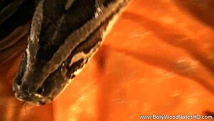 哇，这个宝莱坞美女的舞蹈火辣无比 🔥