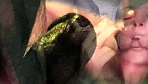 Dark Lantern Entertainment vintage blowjob itiraflarını gösteriyor