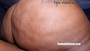 بحب أشوف تي بوتي ترقص على زب ستريتش3إكس الأسود بطيزها الكبيرة