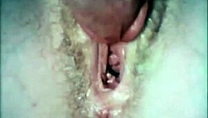 El viaje salvaje de la abuela por los swinging sixties