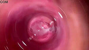 Adik tiri dedahkan dalam pepek creamy remaja 18+