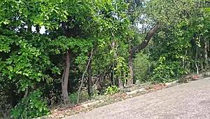 جربنا أول مرة شرجي في مكان عام مجنون، يا إلهي! 😱