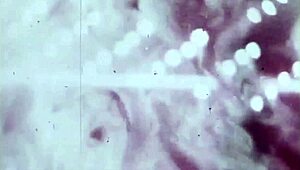 Vintage chlpatá kráska v retro akcii