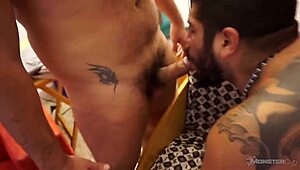 שלישייה של דובים לטיניים בזיון בארבק חשוף