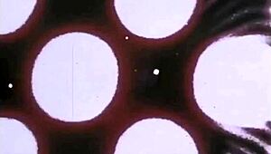 OMG, mijn geheime leven herbeleven met een wilde vintage trio! 😍