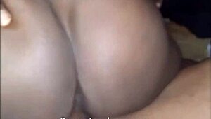 The bone ranger plie ébène pour pilonnage hardcore