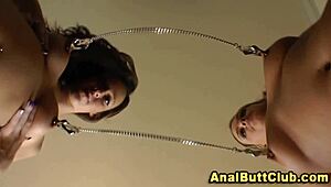 Sexede fetish sluts trækker med vild gabende action.