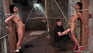 Csak Egy Szokásos Nap Két Kis 18+-Mellű Ebonnyal, Akik Sybianon Lovagolnak Profi Módon, Kinky És Durván