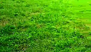 Seksi bisikletçi açık havada yürüyüşte her damlayı yutuyor