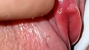 מסתתר מאחורי הקמלטואה המדהימה שלה, אני מעסה את הדגדגן הקטן שלה עד שהיא גומרת חזק