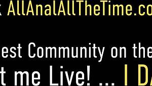 داينا فينديتا الممتلئة تجلس على الوجه، تطلب حركة من الطيز للفم حالا