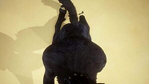 POV视角：两只狂野gay狼在森林里狠狠干