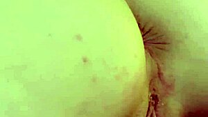 Kyler Quinn a Jessie Saint chystají nezbednou valentýnskou past na nevlastního bratra!