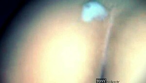 क्या मैं गलत जगह फिसल गया, पड़ोसी?