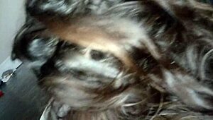 جدة في منتصف الليل تمص زب أسود ضخم كمحترفة