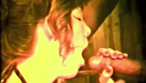 ダークランタンのヴィンテージインターレーシャルタブーが生の激しさで衝撃！