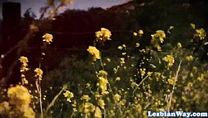 Ces belles lesbiennes se séduisent les chattes comme des folles