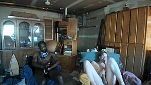 ¡Ey, BBCGeorge y Anastasia-Coxx en un desafío salvaje de mamada! 😜