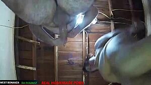 Segg a szájba basz fafasz és anál