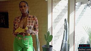 Hatalmas természetes cicik Nyla néger playboy modellen! Mindent megmutat!