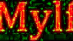 ครูสาวผมแดงจากโรงเรียนยังสั่งฉันให้เลียให้ดีอยู่เลย