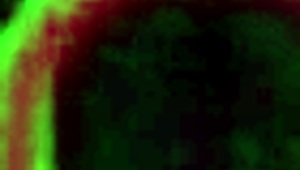 قلبي يدق بسرعة وجينا فوكس تلس اللسان في مندي مينك الأكبر في إيقاظ مجنون