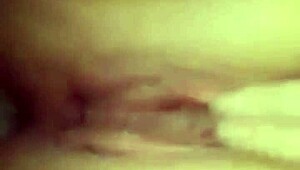 Het mexicansk nabo siger knul mig hårdt nabo!