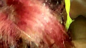 Ehi ragazza, perché le donne nere cambiano capelli continuamente?