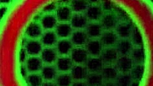 Похотливая Вики Ветт засовывает дилдо в пизду на Новый год