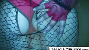 チャーリー・チェイスがセクシーランジェリー＆ストッキングで超エロい！