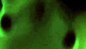 Dazzlingfacegirl - fuck my petite 18+ hairy pussy with your big cock