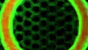 서브미시브 메이드 탬파 MILF 찰리 체이스, 음, 핫 롤플레이 의상으로 큰 자지 쾌락 줌!