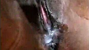 ドタードが美味い従姉妹のマンコに射精