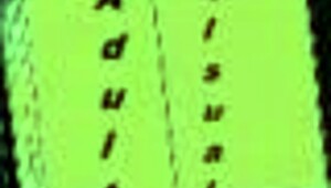 Jugando Savior 24 en estilo anime