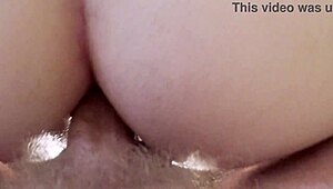 Jules jenning, adolescente grossa de 18+, deseja pau duro fundo no cu apertado para diversão