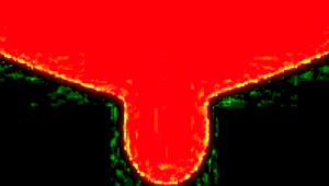 Ay esta asiática super adorable mostrando su coño peludo y tetas