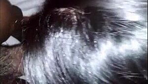 Tyk røv latina tager stor sort pik i blowjob og doggystyle