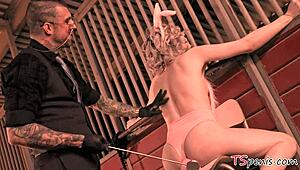 hey, tranny bunnies sarina valentina and ella hollywood get pounded in wild cosplay!