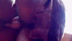 エピックスタイルのロマンチックセックス、熟女がバックで曲げられて屋外黒人ファック