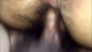 El Ancla e Amigos Se Divertindo Juntos