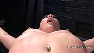 Bundet babe anal-slammet med hardcore dildo