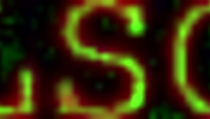 Nge-lick Pantat Melody yang Stunning sama Violet Bareng