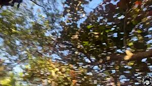 Lil D kongkek Valerie Kay keras di atas jetski dalam aksi liar Florida