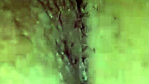 Close up syn på at kneppe den våde fisse bareback med stor pik